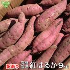 ショッピングさつまいも (訳あり) 紅はるか 9kg 有機栽培 鹿児島県産 宮崎県産 訳アリ 規格外 B品 土付き さつまいも サツマイモ べにはるか オーガニック JAS 2025年産 令和7年産