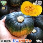  иметь машина Mini тыква 16kg(20~38 шар ) Mini юг . маленький шар юг . иметь машина культивирование Кагосима префектура производство химия удобрение * пестициды не использование иметь машина JAS отправка период 7~8 месяц 