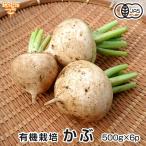 ka.500g×6P иметь машина культивирование Кагосима префектура производство Miyazaki префектура производство земля имеется органический organic. Cub химия удобрение * пестициды не использование бесплатная доставка обычная температура рейс отправка период 11 месяц ~