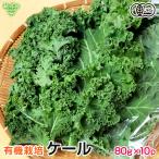  кудрявая капуста 80g×10P иметь машина кудрявая капуста иметь машина JAS сырой иметь машина культивирование Miyazaki префектура производство Кагосима префектура производство иметь машина овощи органический organic.-. зеленый сок super капот рефрижератор рейс отправка период 4 месяц ~5 месяц 
