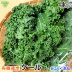  кудрявая капуста 80g×30P иметь машина кудрявая капуста иметь машина JAS сырой иметь машина культивирование Miyazaki префектура производство Кагосима префектура производство иметь машина овощи органический organic.-. зеленый сок super капот рефрижератор рейс отправка период 4 месяц ~5 месяц 