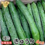  огурец 4kg иметь машина культивирование Кагосима префектура Kumamoto префектура рефрижератор рейс иметь машина JAS огурец .. лето овощи отправка период 7 конец месяца примерно до 
