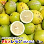  есть перевод лимон ( Lisbon ) 9kg Kumamoto префектура производство Кагосима префектура производство химия удобрение * убийца сорняков *. коррозия . не использование no- воск B товар нестандартный обработка для специальный культивирование отправка период 1 месяца конца до 