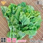 . цветок 150g×10P иметь машина культивирование ...nabana.. цветок цветок . рефрижератор рейс бесплатная доставка Кагосима префектура производство органический organic иметь машина JAS отправка период 1~3 месяц 