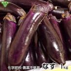  баклажан 1kg химия удобрение * пестициды не использование Кагосима префектура Miyazaki префектура рефрижератор рейс баклажан ...nas лето овощи отправка период 6 месяц ~9 месяц . покупка 