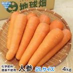  морковь 2L размер 4kg рефрижератор рейс пестициды * химия удобрение * убийца сорняков не использование Кагосима префектура производство Miyazaki префектура производство 1 шт. 300~600g мытье морковь человек Gin organic A товар отправка период 2 месяц ~4 месяц 
