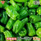  зеленый перец иметь машина культивирование 10kg Кагосима префектура производство Kumamoto префектура производство иметь машина JAS пестициды * химия удобрение не использование .-.. синий . мясо . мясо .. рефрижератор рейс местного производства нет пестициды 