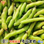 そら豆 4kg 有機栽培 鹿児島県産 農薬・化学肥料不使用