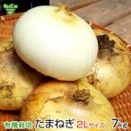  шар лук порей 2L размер 7kg иметь машина культивирование Кагосима префектура производство Kumamoto префектура производство Miyazaki префектура производство tama лук-батун лук лук репчатый большой шар иметь машина JAS органический oni on organic 1 шар 400g и больше для бизнеса 