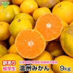  есть перевод мандарин 9kg специальный культивирование высшее . сырой мандарин уншиу Кагосима префектура производство Kumamoto префектура производство размер случайный химия удобрение * убийца сорняков *. коррозия . не использование mi can меласса . нестандартный . дом для 