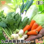 おためし有機野菜セット おまかせ５品目 お試し 冷蔵便 送料無料 九州産 鹿児島県 有機栽培 有機JAS オーガニック 無農薬 西日本 詰め合わせ