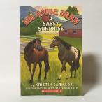 Big Apple Barn #3: A Sassy Surprise（洋書：英語版 中古）※ワケあり