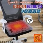 ホットマット クッション ホットカーペット USB給電式 電熱 一人用 ミニ 椅子 座布団 車用 寒さ対策 厚手 保温 冬物 無地 3段階調節