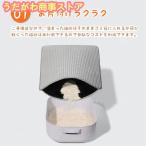  удаление песка коврик кошка песок коврик удаление песка коврик кошка туалет коврик очень большой кошка для кошка песок catcher кошка песок коврик игрушка Repetto коврик кошка песок скол .. предотвращение кошка гигиенические средства домашнее животное 