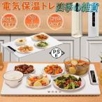 ホットプレート 電気保温トレイ 食品保温プレート 折りたたみ式 3段階の温度設定 60℃/80℃/100℃ 多機能食品断熱ボード フードウォーマー 収納袋付き 簡単
