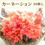 花 咲くジャスミン茶 カーネーション 萬紫千紅 30個 工芸茶 お茶 ブルーミングティー ネコポス便 送料無料 お店 業務用 カフェ 卸 中国茶