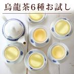 【烏龍茶お試し6種】 中国茶 台湾茶