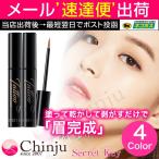 シークレットキー 眉ティント Secret Key タトゥーアイブロウティントパック Tattoo Eyebrow Tint Pack 8g タトゥー ティント