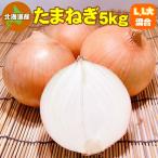 北海道産 たまねぎ 5kg L〜L大サイズ 送料無料 タマネギ 玉ねぎ 玉葱 玉ネギ