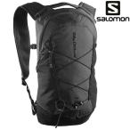  Salomon X чай 10 XT 10 LC2858500 черный 2026SS чёрный 10L