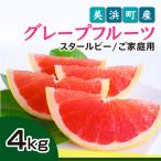 国産完熟ルビーグレープフルーツ 愛知産 ハウス栽培 自宅用4kg
