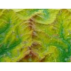 No.54【槍ヶ岳/常念岳】2Lサイズ(20cm×15cm×2cm)  日本百名山の3D立体地図