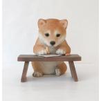 ショッピング置物 犬の置物 ガーデニング オーナメント 置物 オブジェ インテリア かわいい 雑貨 柴助 柴犬いぬ ドッグ DOG 動物 ディスプレイ 【   豆柴（お勉強）　】
