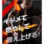 父の日のプレゼント ビダン ザゴーストVIDAN THE GHOST メンズ 加圧シャツ トレーニングウェア  M Lサイズ 男性用 引締 姿勢 送料無料 加圧 引き締め