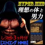 【ストロングHMB・3ヵ月分×3袋セット】HMBサプリ クレアチン プロテイン 気力 活力 BCAA カルニチン 亜鉛 アルギニン パワーアップ シトルリン ダイエット 国産
