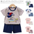 上下セット 半袖 Tシャツ セットアップ ベビー キッズ トップス プリントTシャツ 半そで 半ズボン 短パン ルームウエア 部屋着 保育園 夏服 夏