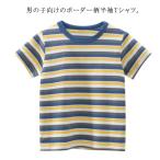 半袖Tシャツ ボーダー tシャツ キッズ 男の子 半袖tシャツ 子ども 子供 ボーダー柄 ベビー トップス カットソー ボーイズ ラウンドネック 綿1