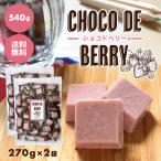 ショッピングチョコレート チョコレート イチゴ【choco de berry ショコドベリー 480g(240g×2袋)】苺 いちご 一口サイズ 送料無料