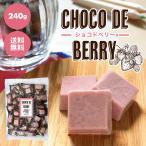 【choco de berry　ショコドベリー　280g】イチゴ チョコレート 苺 いちご 一口サイズ 1000円ポッキリ 送料無料