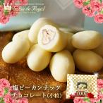 お返し お菓子 チョコ ギフト 食べ物 スイーツ 塩ピーカンナッツチョコレート（小粒）(100g/袋）