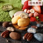 お中元 チョコレート 個包装 プチギフト 手土産 WEB限定 送料無料 ピーカンナッツチョコ袋5種まとめ買いセット サロンドロワイヤル
