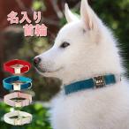 犬首輪名入れふわふわリードセットS...
