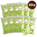 【SALE】塩飴 業務用 10kg スポーツドリンク味 塩分補給 熱中症対策 熱中症対策