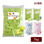 塩飴 1kg 業務用 レモン 梅 サイダー エナジードリンク スポーツドリンク 全5種 塩分補給 熱中症対策
