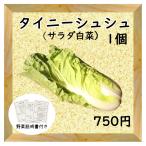  three . vegetable Thai knee elastic salad Chinese cabbage 1 piece postage half-price East Japan Kanagawa prefecture production 