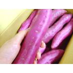  становится . золотой час .. золотой час 2.4kg Tokushima производство .. время клубень золотой час .. батат высота серия 14 номер сосна . прекрасный человек .. жарение клубень небо .. клубень небо .. клубень университет клубень 