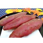 *[....(.....)]*JA..* высококлассный становится . золотой час * примерно 2.5 kilo (M~L размер )* предварительный заказ товар ( доставка .. час принимаю случается )*