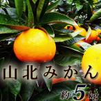  мандарин гора север мандарин примерно 5 kilo . для бытового использования бесплатная доставка Kochi производство гора север производство M кроме того, L размер .. высота сахар раз . толщина mi can меласса . мандарин уншиу мандарин .. витамин C здоровье подарок 