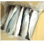 ★「鯖（サバ）フィーレ」 薄塩・昆布じめ １２枚 業務用★鯖の片身「焼きサバ寿司」に！