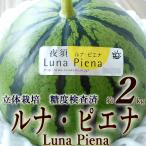 母の日カード 包装付 すいか ルナ・ピエナ 高級すいか 高知県夜須町産 約2kg 糖度検査済 送料無料 土佐の高級すいか  ギフト プレゼント 西瓜 スイカ お歳暮