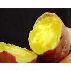 *[ Quick сладкий ]* Kochi производство * примерно 2.5 kilo * плита . подбородок тоже прекрасный тест .. новый вид. . клубень!*