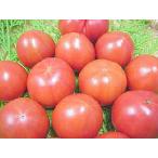 * лето. [ фрукты помидор ]*800g и больше *. для бытового использования ( шар число случайный )* предварительный заказ товар *. семья . наслаждение принимаю. . рекомендация. . товар. *