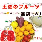 2026年 新春福袋 フルーツ福袋 大セット 送料無料 ぽんかん・文旦・みかん・フルーツトマト・メロンなどもりだくさん 送料無料