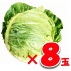 * капуста *8 шар * Kochi производство *