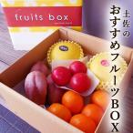  рекомендация фрукты BOX бесплатная доставка 5 вид все Kochi производство время ограничено кристалл помело теплица помело гора север мандарин высота сахар раз фрукты помидор меласса клубень рекомендация местного производства фрукты подарок по случаю конца года 