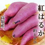  батат .. .. жарение клубень специальный примерно 5kg M~L размер Kochi производство новый вид. меласса клубень . клубень специальный высота сахар раз .. сеть li батат алый Hal ka жарение клубень ....